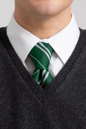 OFFICIAL WARNER BROS. HARRY POTTER SLYTHERIN HOUSE TIE